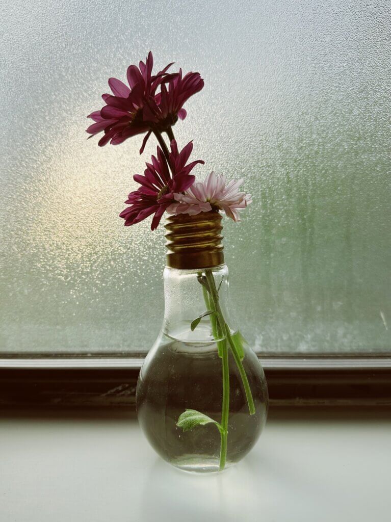 Matthias Maier | Bathroom flowers