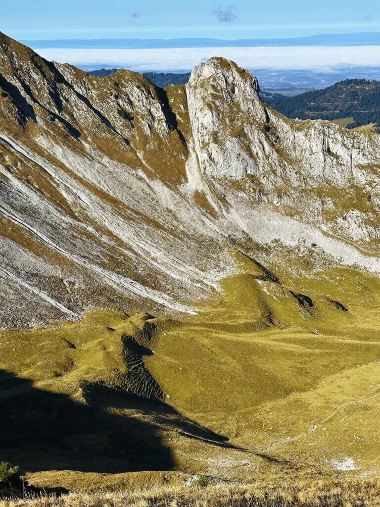 Matthias Maier | Yellow-green valley