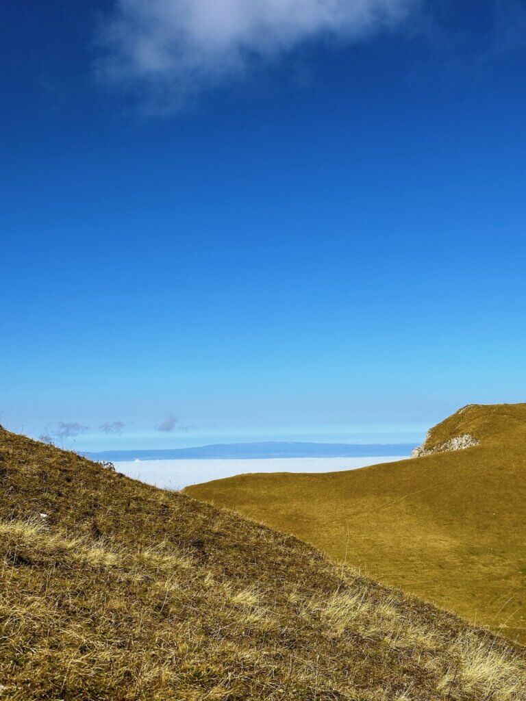 Matthias Maier | Sea of fog