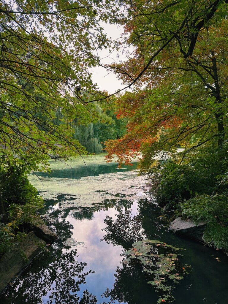 Matthias Maier | Fall by the Pool