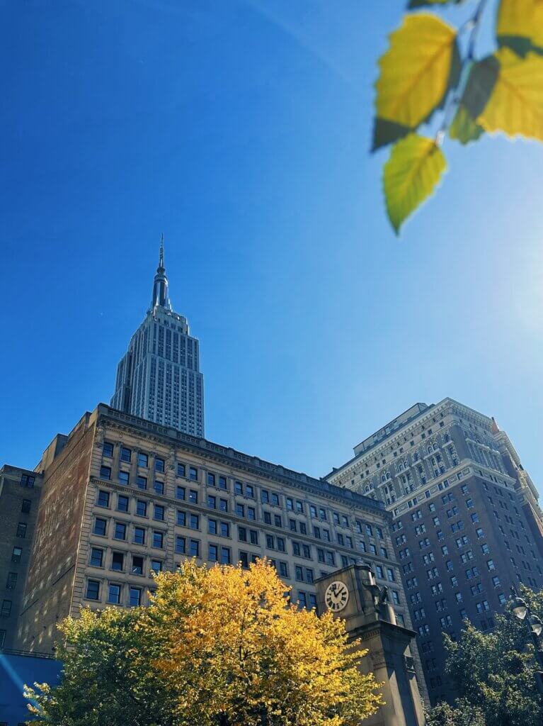 Matthias Maier | Fall at Herald Square