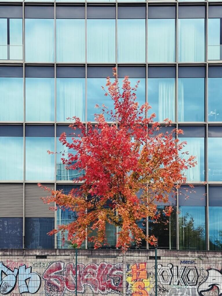 Matthias Maier | Mixed colored tree and glass