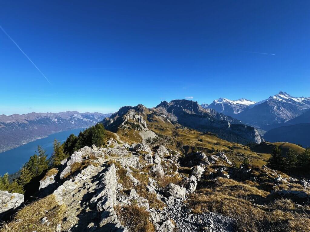 Matthias Maier | Schynige Platte