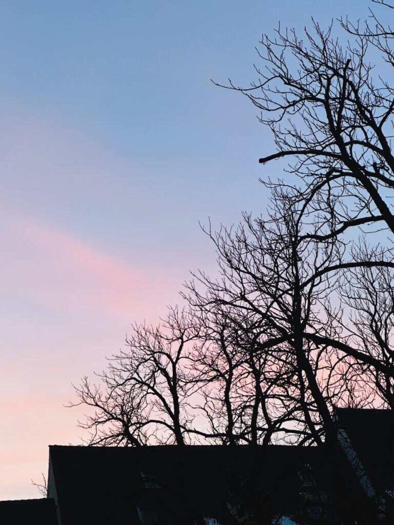 Matthias Maier | Silhouette against sky