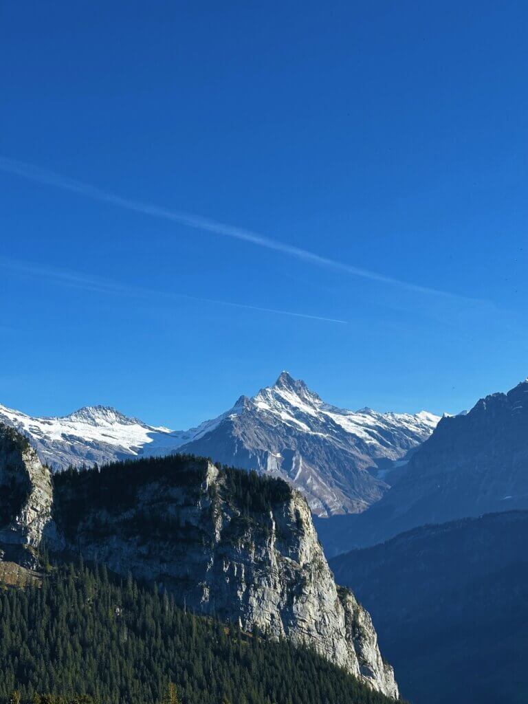 Matthias Maier | Schreckhorn