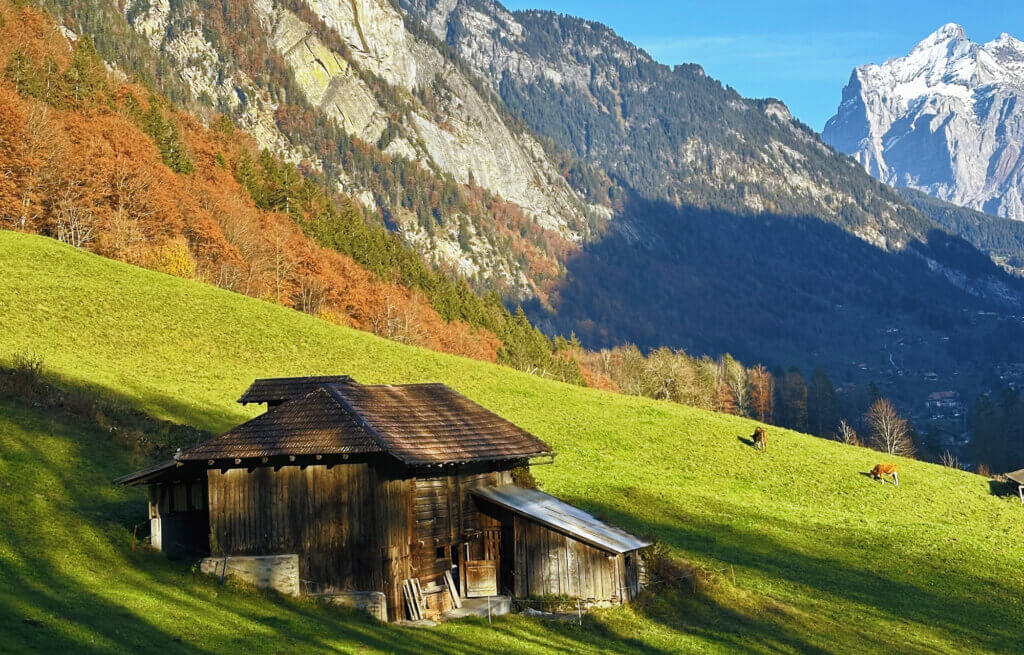Matthias Maier | Stories | Week 45 2024 | Alpine fall landscape