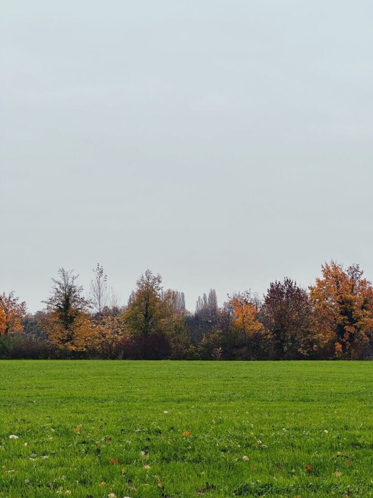 Matthias Maier | Luscious green