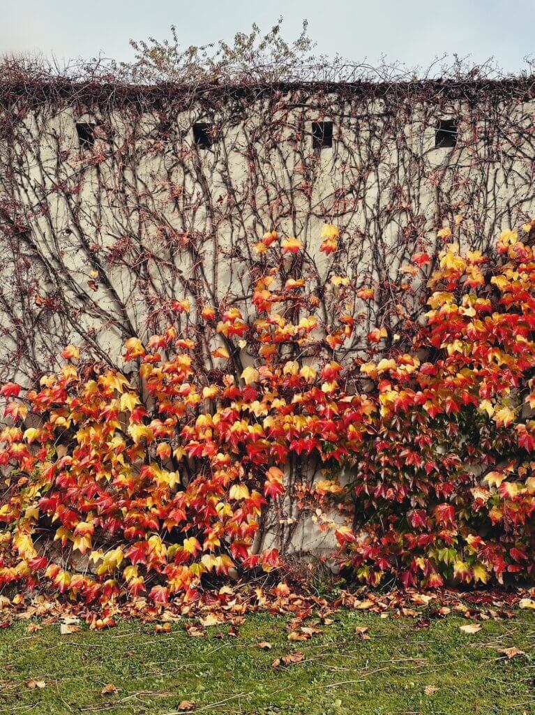 Matthias Maier | Cemetery wall