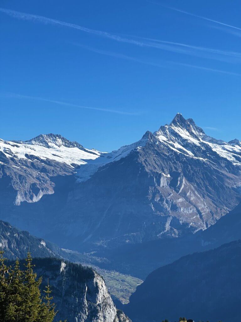 Matthias Maier | View on Grindelwald