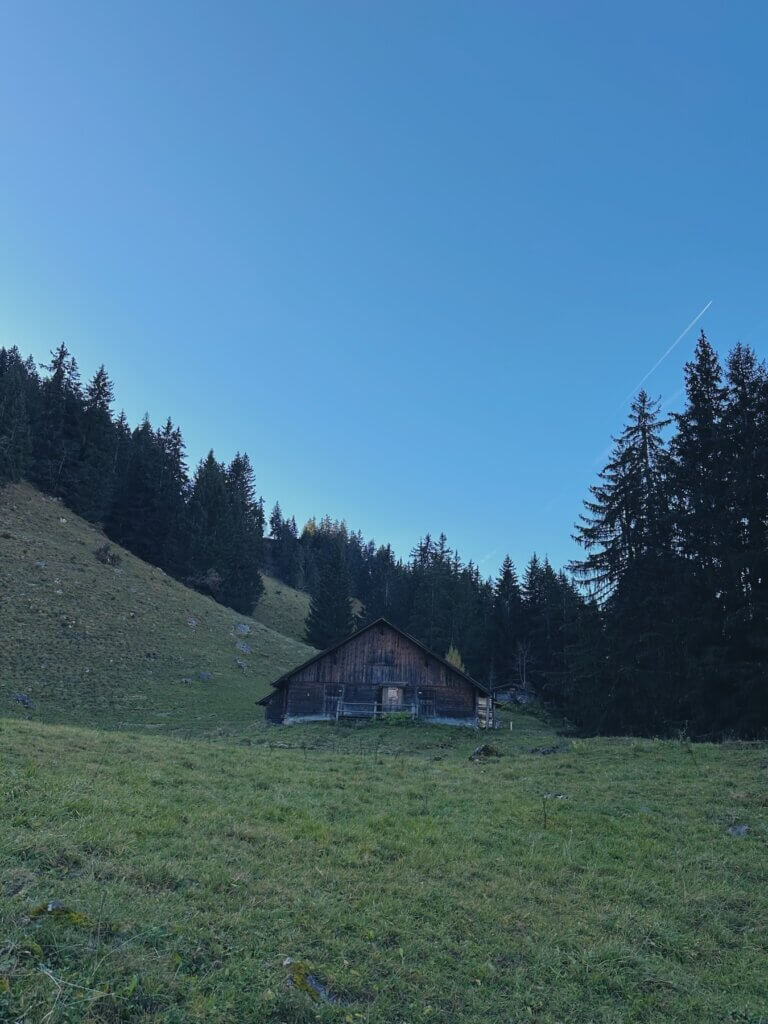 Matthias Maier | Breitlauenen