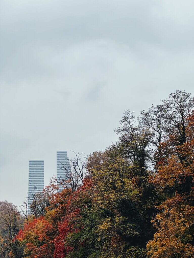 Matthias Maier | Fall towers