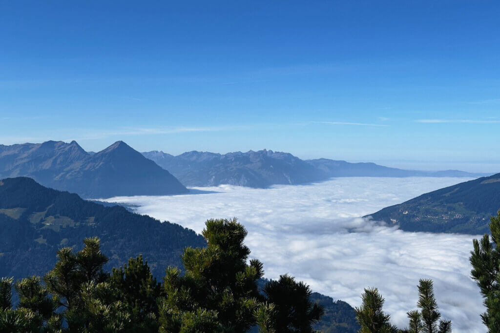 Matthias Maier | Stories | Week 45 2024 | Fog over Lake Thun seen from Schynigi Platte