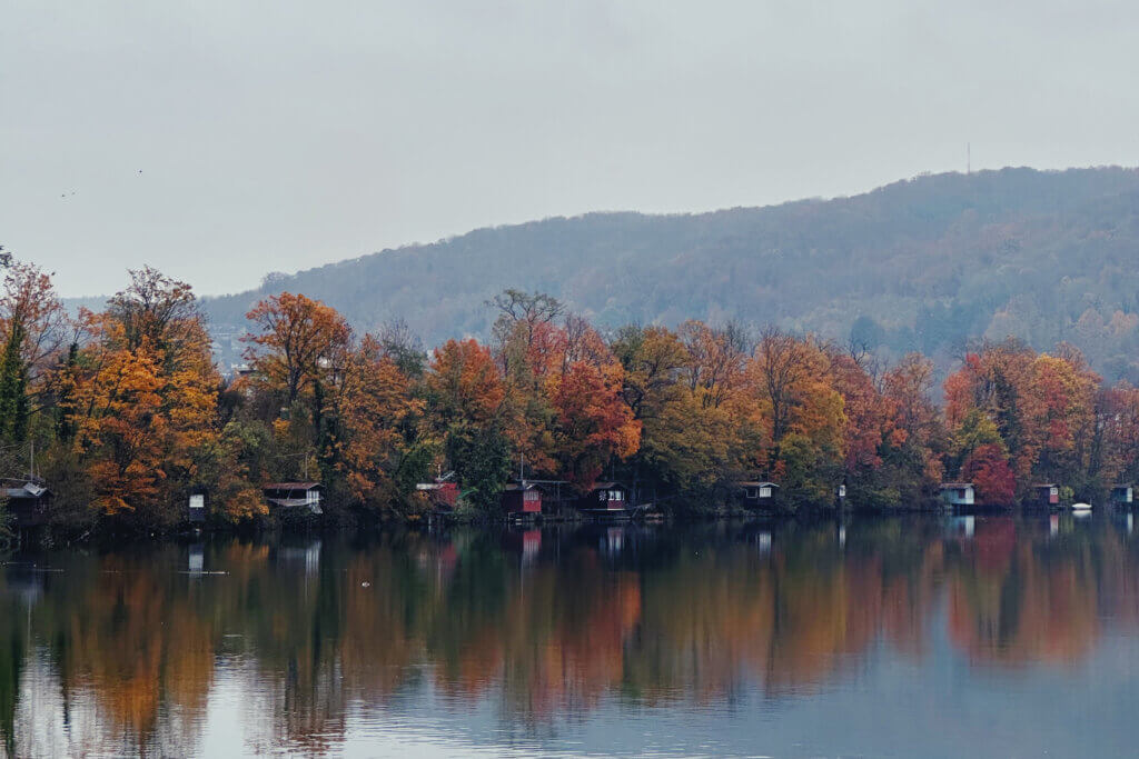 Matthias Maier | Stories | Week 46 2024 | Fishing huts along the Rhine river in Basel