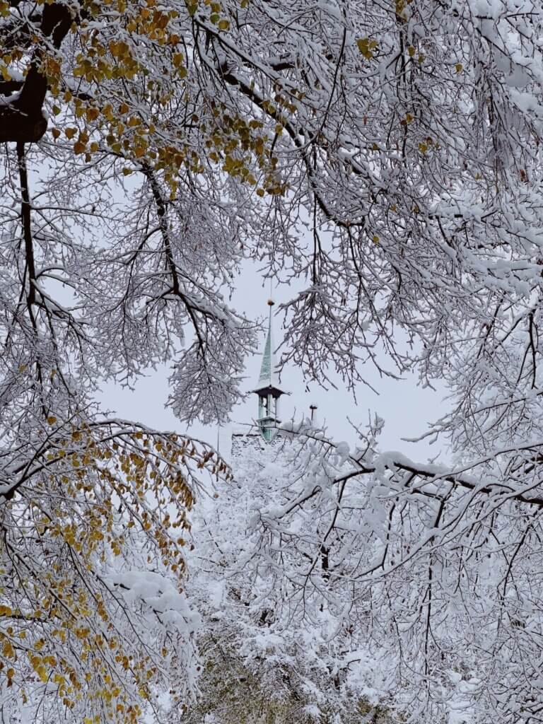 Matthias Maier | A view through snow covered branches