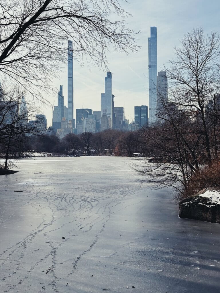 Matthias Maier | Frozen lake