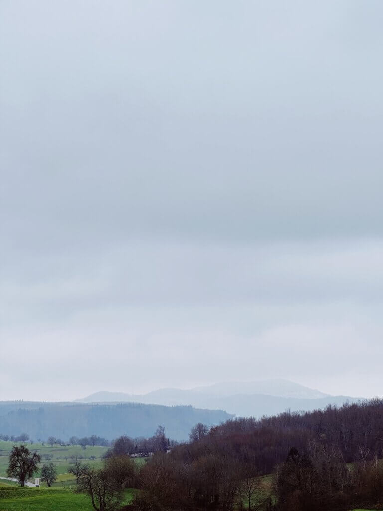 Matthias Maier | Black forest in the clouds