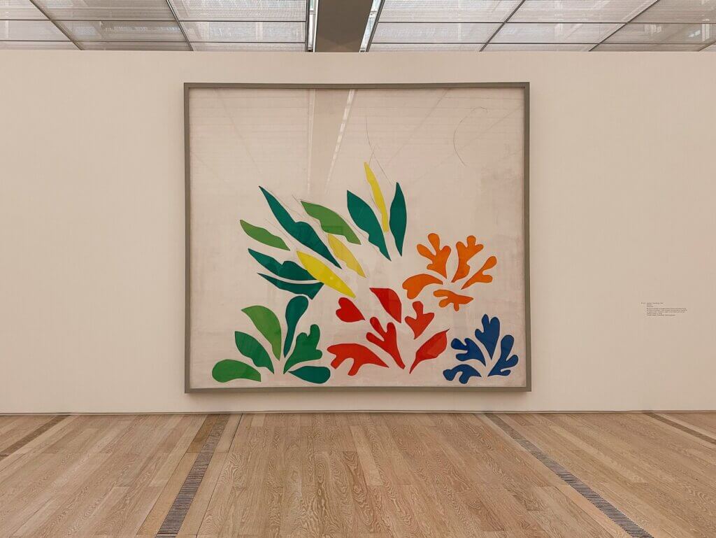 Matthias Maier | Matisse - Les acanthes