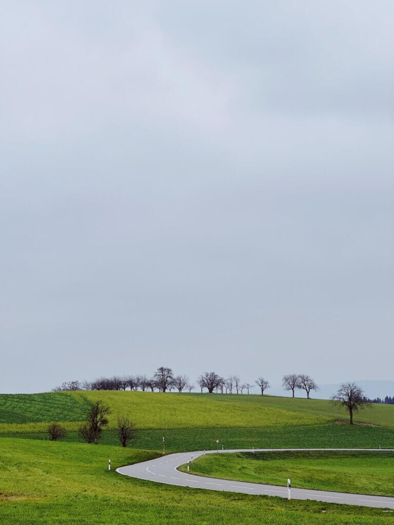 Matthias Maier | Road through the fields