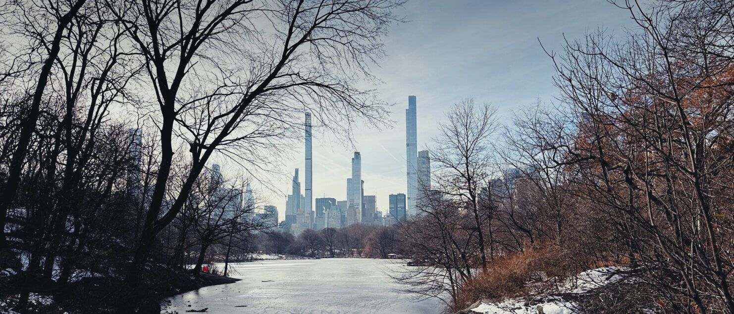 Matthias Maier | Stories | Week 52 2024 | Frozen Lake in Central Park