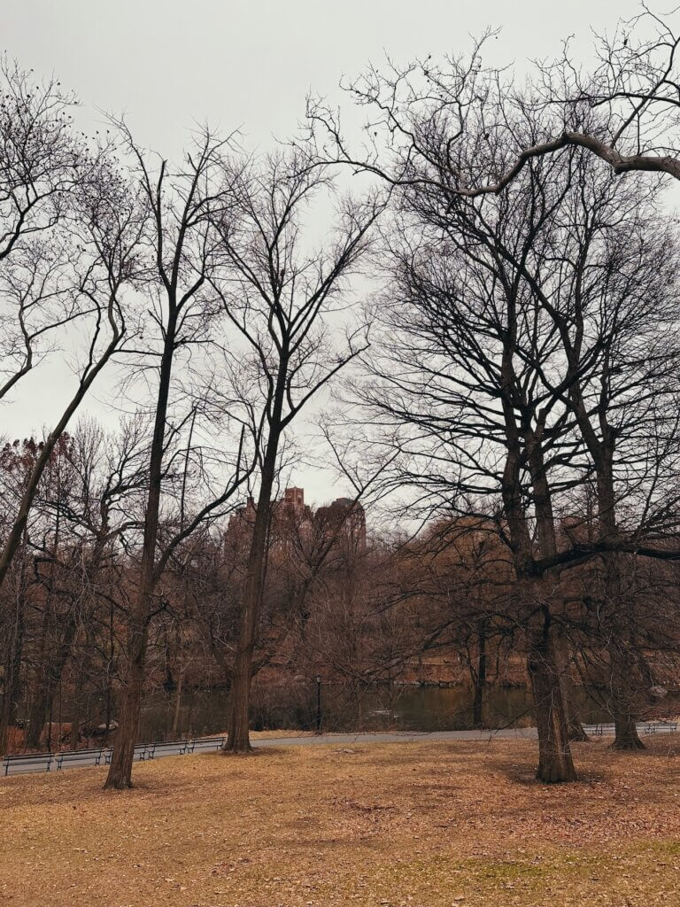 Matthias Maier | Central Park peace