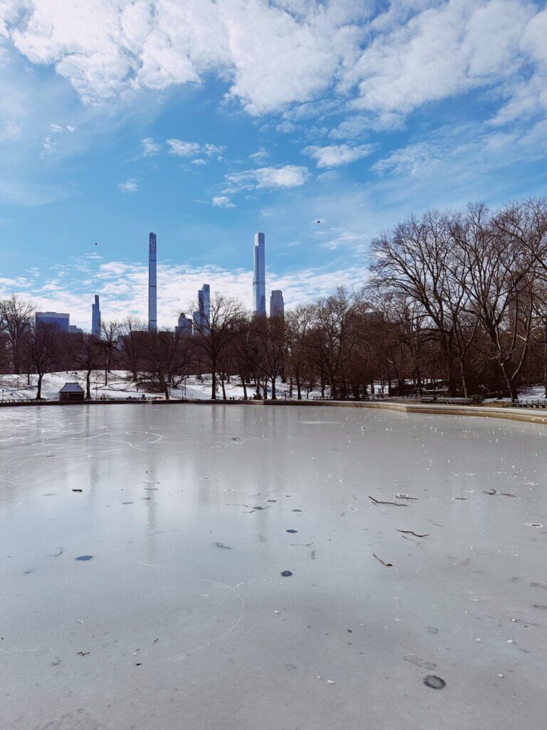 Matthias Maier | Reflections on ice