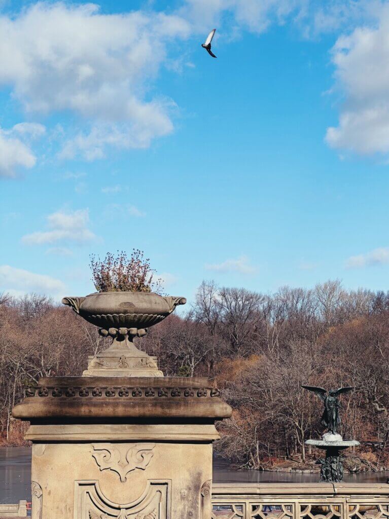 Matthias Maier | Central Park detail