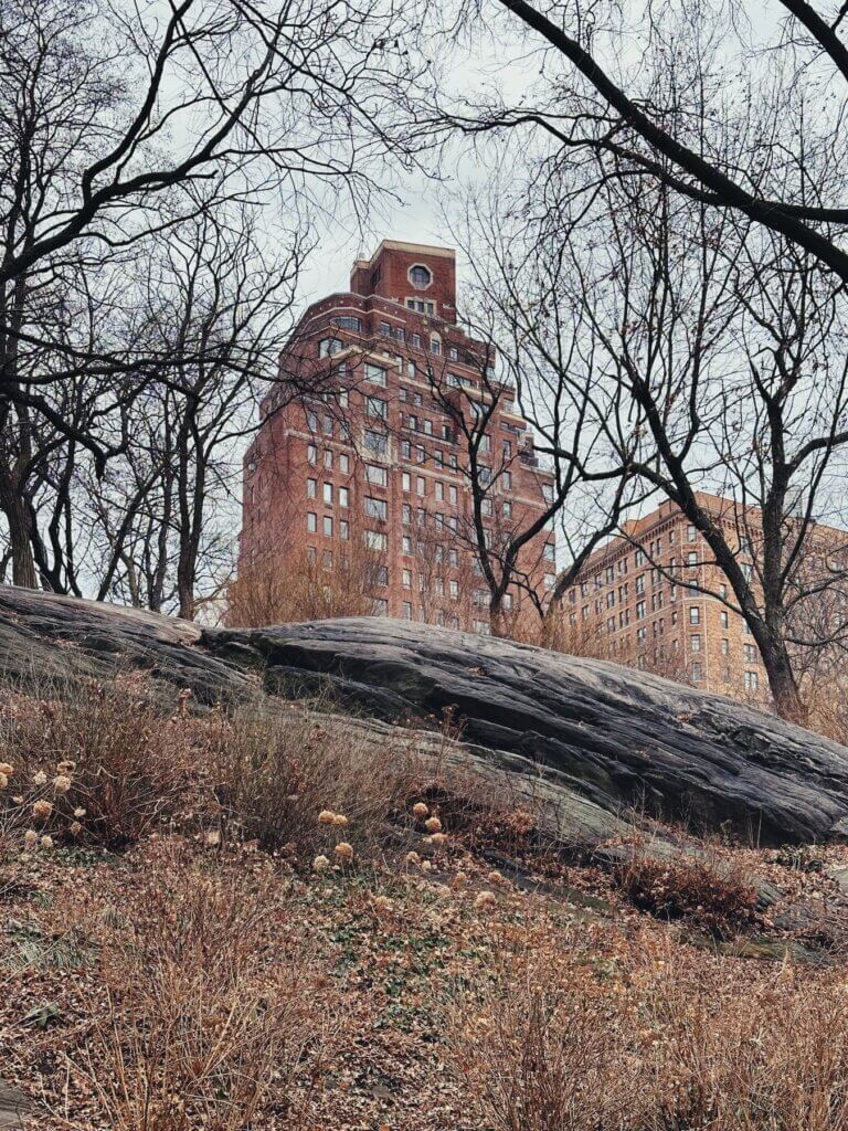 Matthias Maier | Houses up on the hill