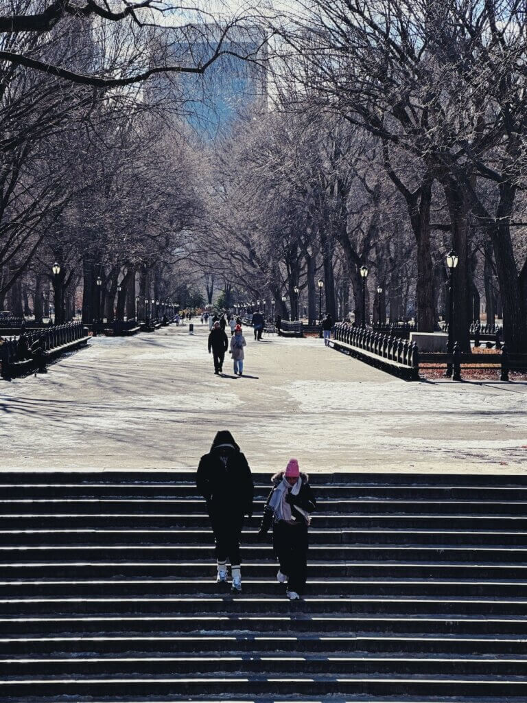 Matthias Maier | Freezing winter walk