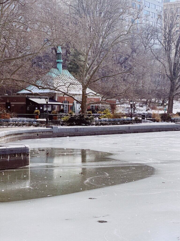 Matthias Maier | Winter pavilion