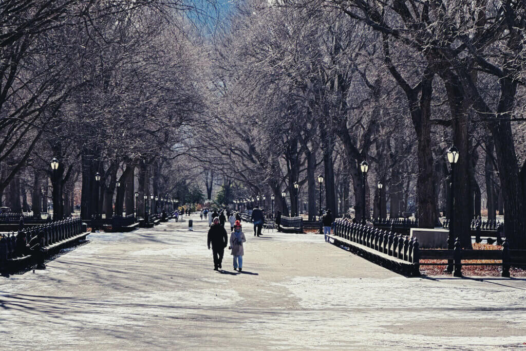 Matthias Maier | Stories | Week 02 2025 | The Mall in Central Park