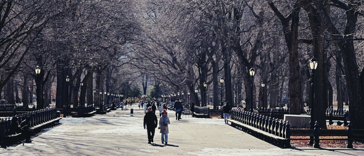 Matthias Maier | Stories | Week 02 2025 | The Mall in Central Park