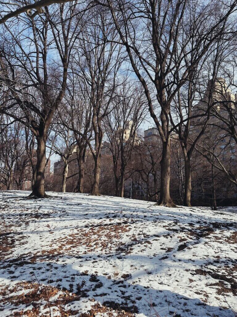 Matthias Maier | Snowy hill