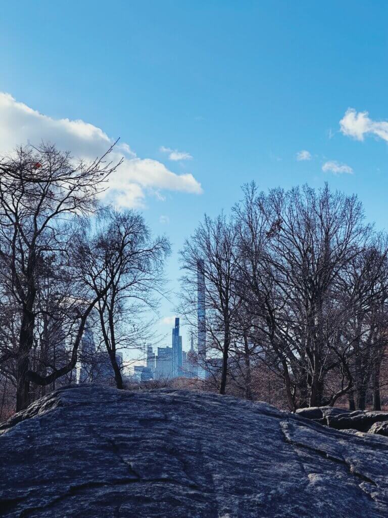 Matthias Maier | Rocky park