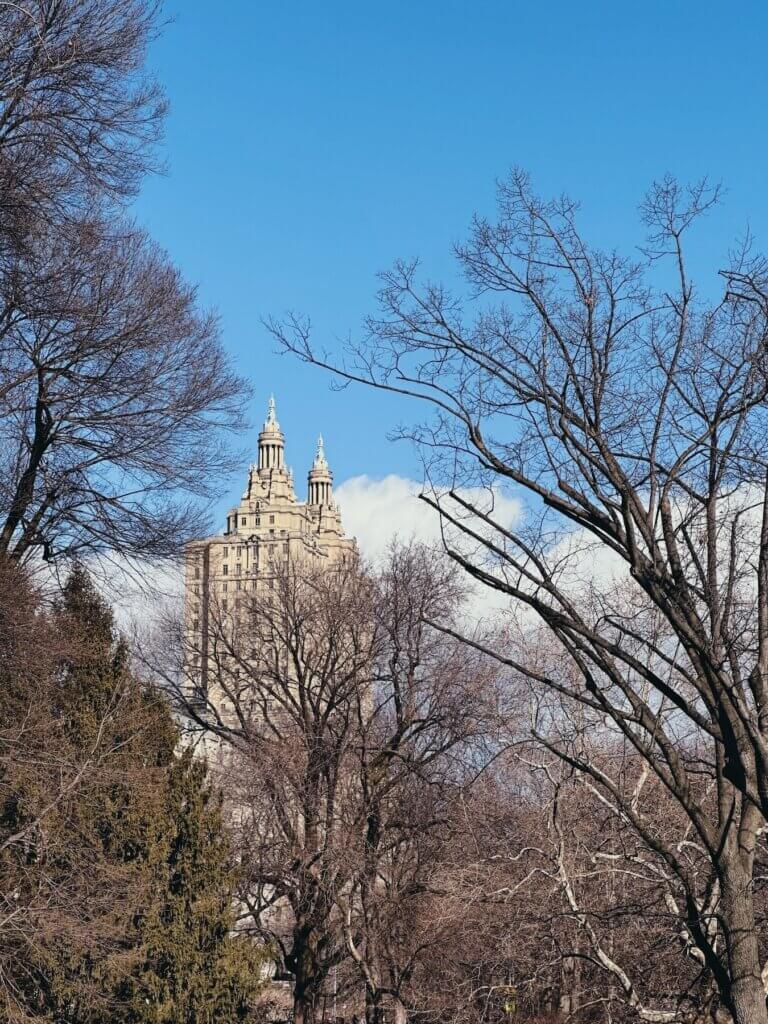 Matthias Maier | The San Remo through the trees