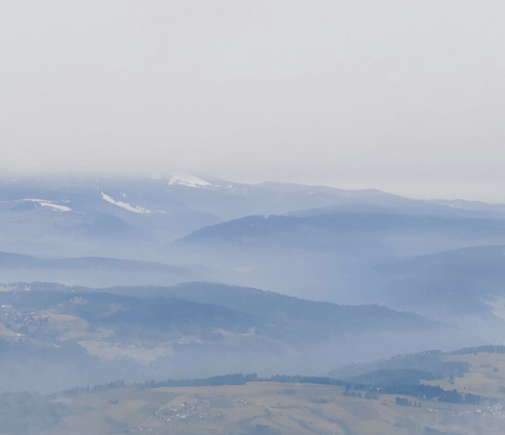 Matthias Maier | Stories | Week 07 2025 | Black forest on a rainy day