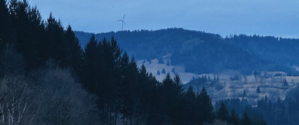 Matthias Maier | Stories | Week 08 2025 | Dusk in the Black Forest