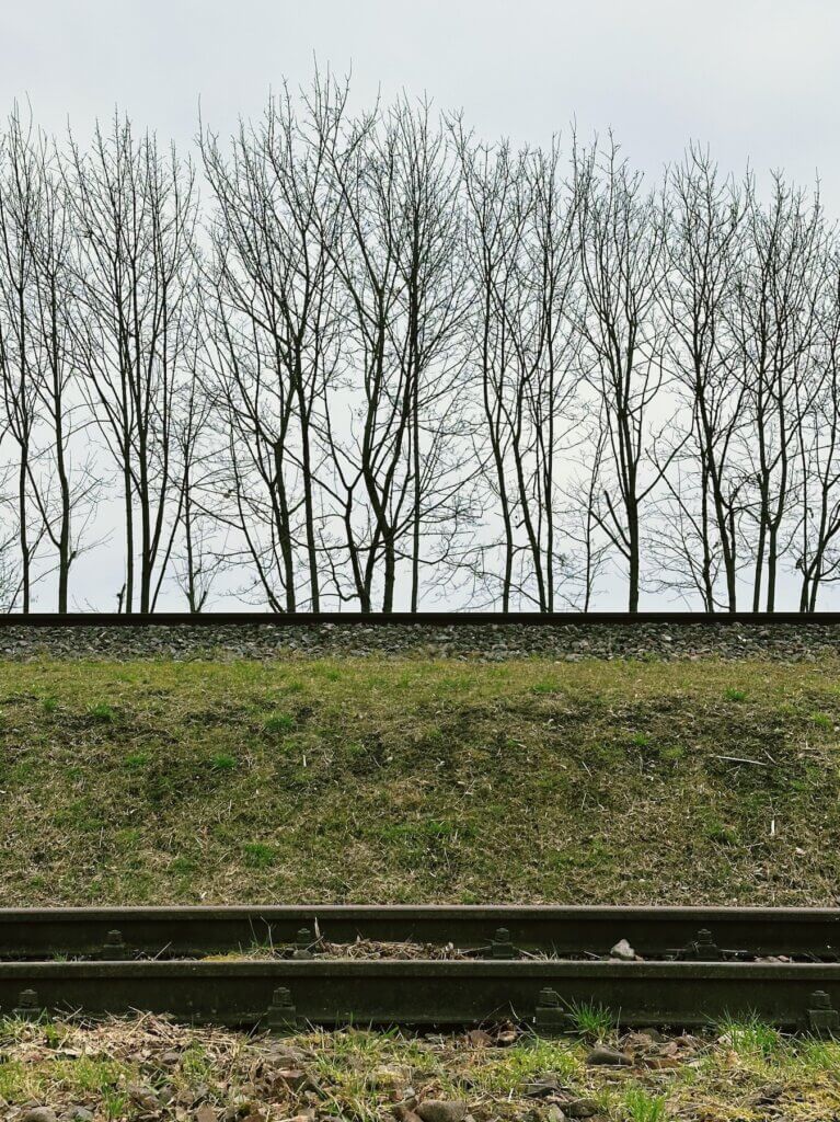 Matthias Maier | Rails and trees