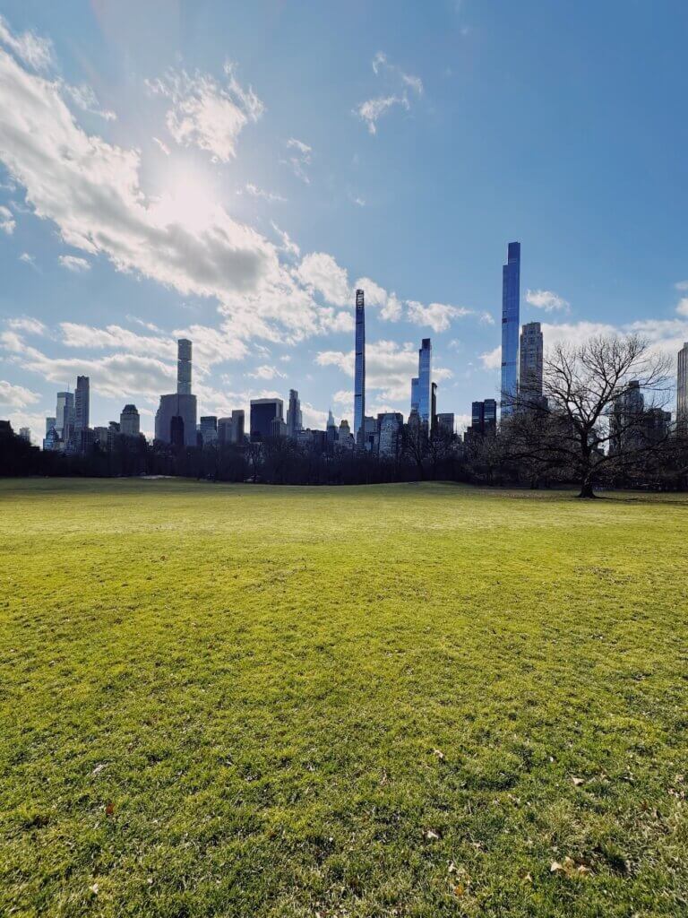 Matthias Maier | Sheep Meadow