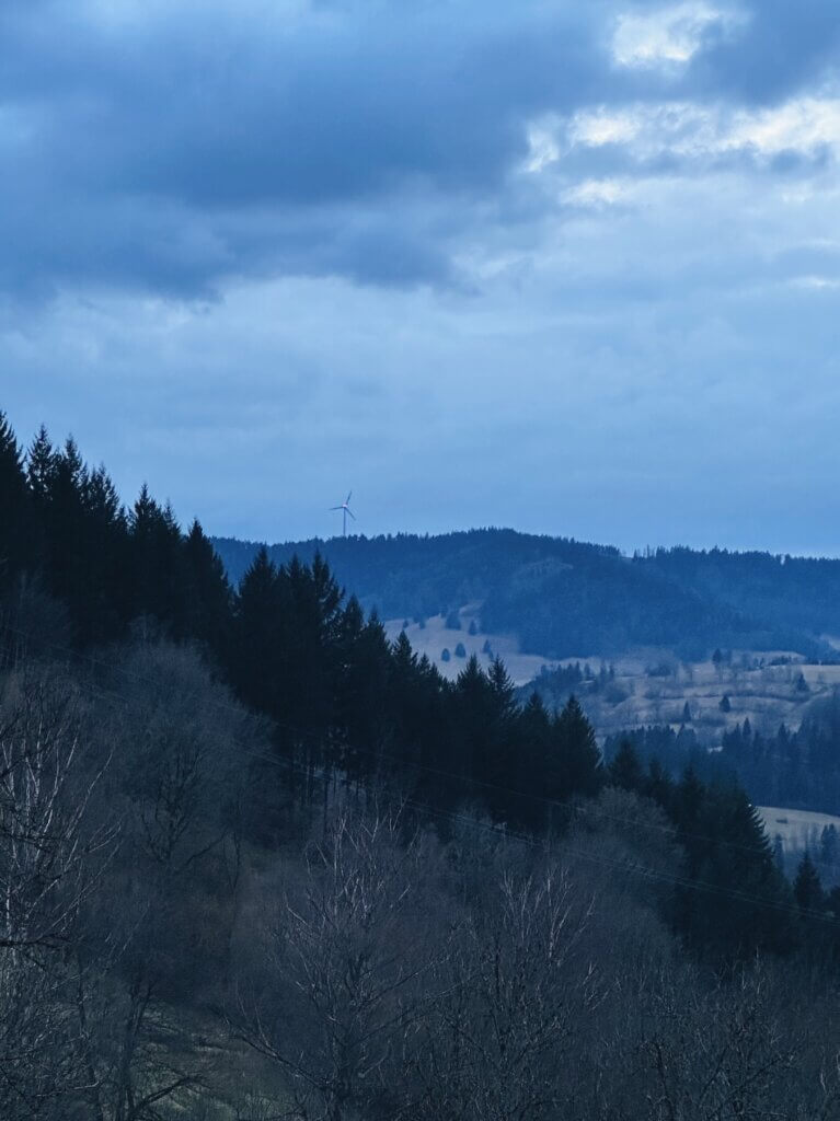 Matthias Maier | Black Forest dusk