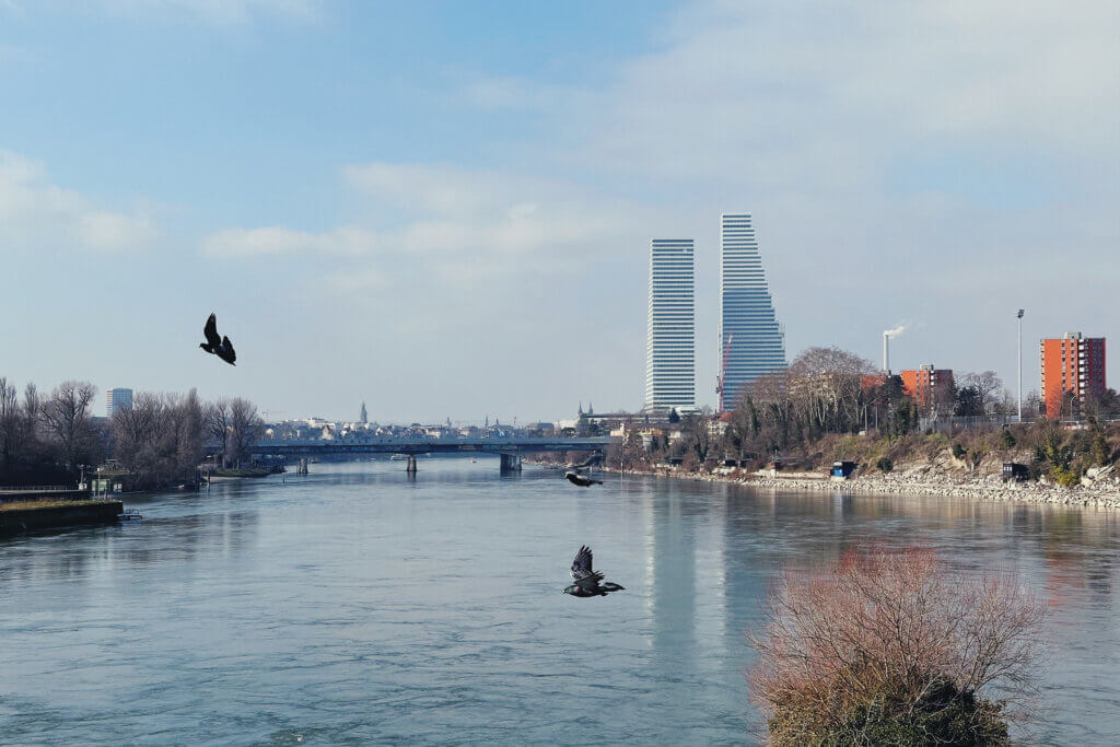 Matthias Maier | Stories | Week 07 2025 | Three pigeons flying across the Rhine river