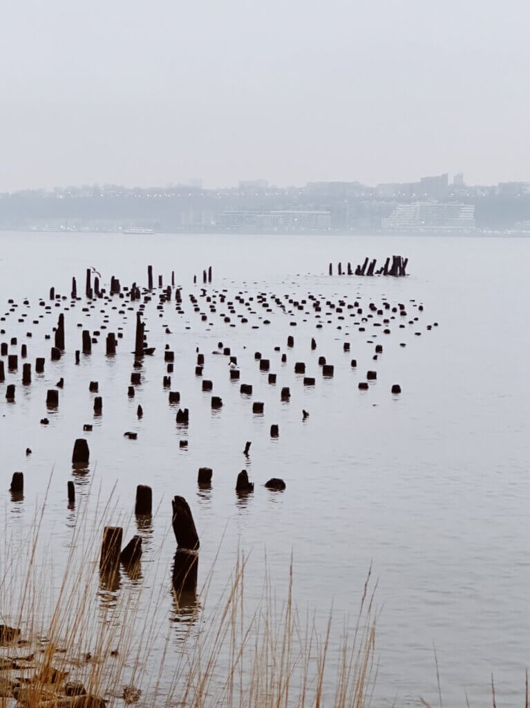 Matthias Maier | Pier Piles