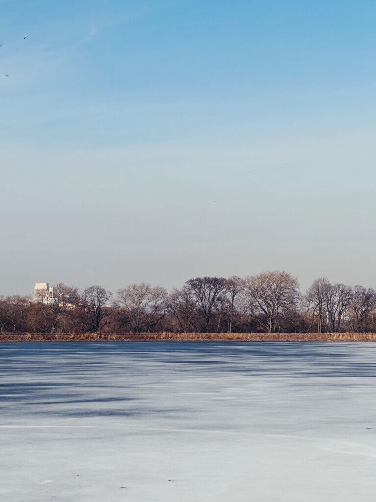 Matthias Maier | Winter mood in Central Park