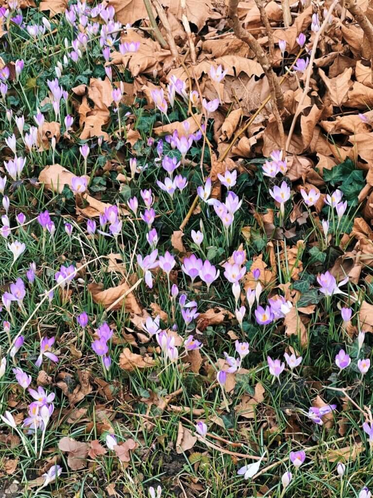 Matthias Maier | Spring!