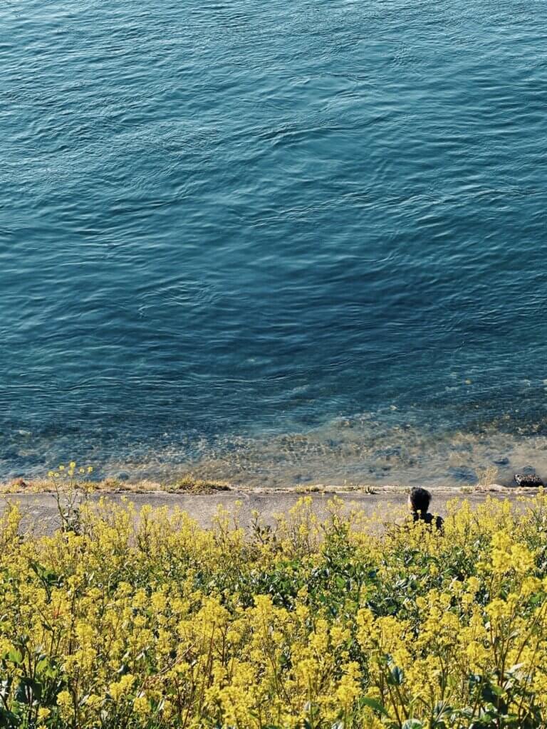 Matthias Maier | Enjoying the spring sun