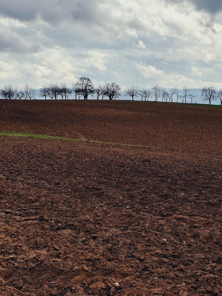 Matthias Maier | Arable land