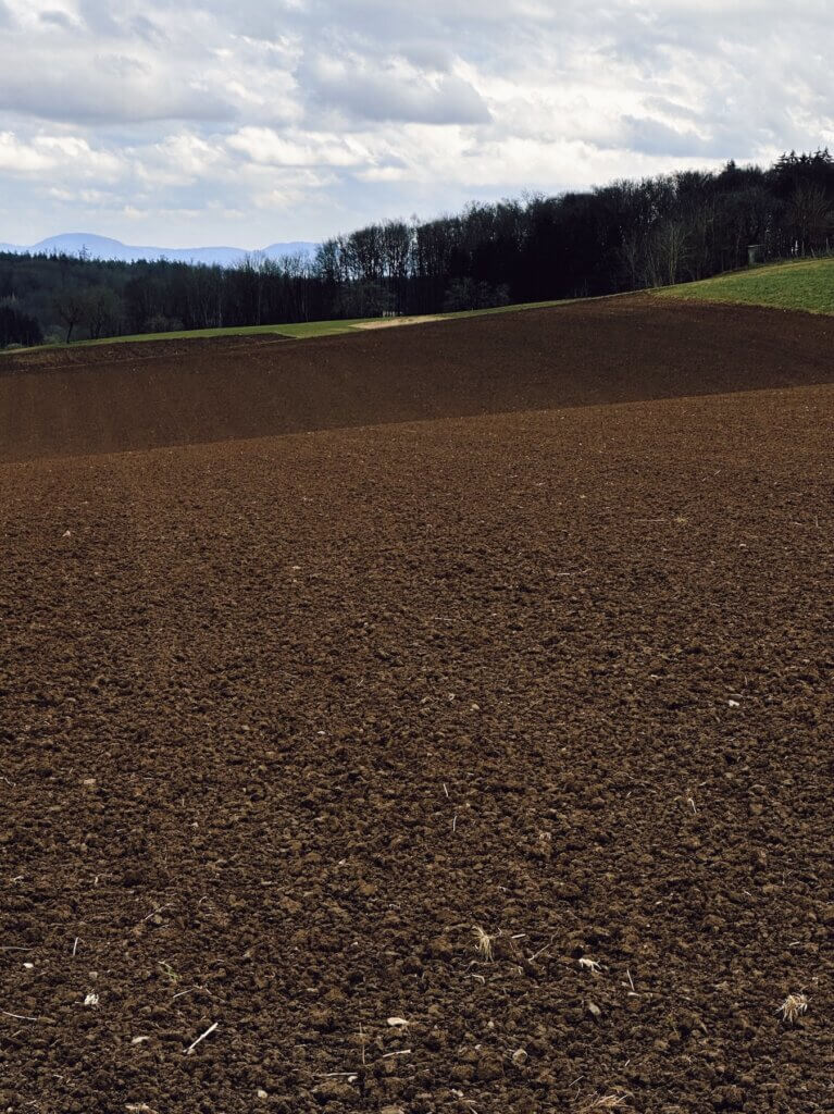 Matthias Maier | Topsoil