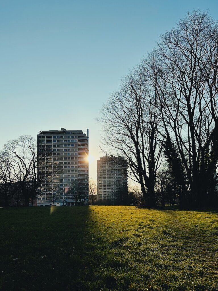 Matthias Maier | Evening sun