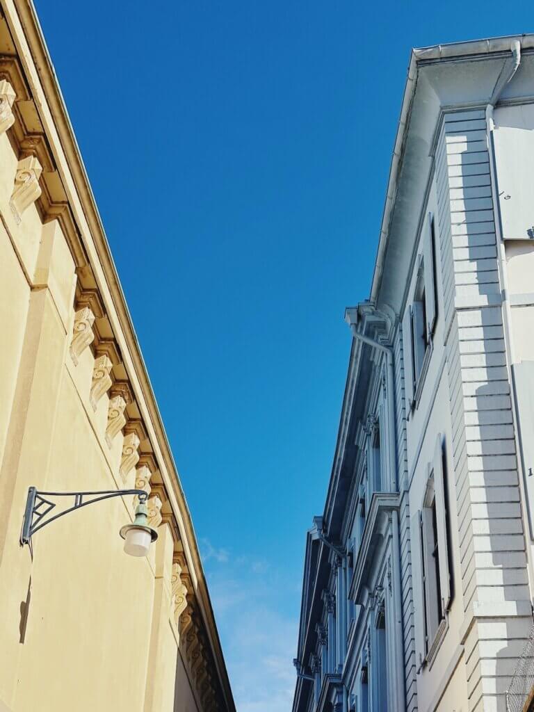 Matthias Maier | Between yellow and blue