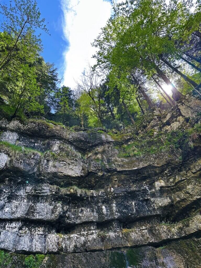 Matthias Maier | Canyon