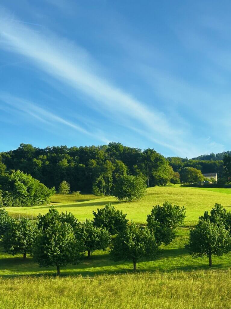 Matthias Maier | Countryside morning